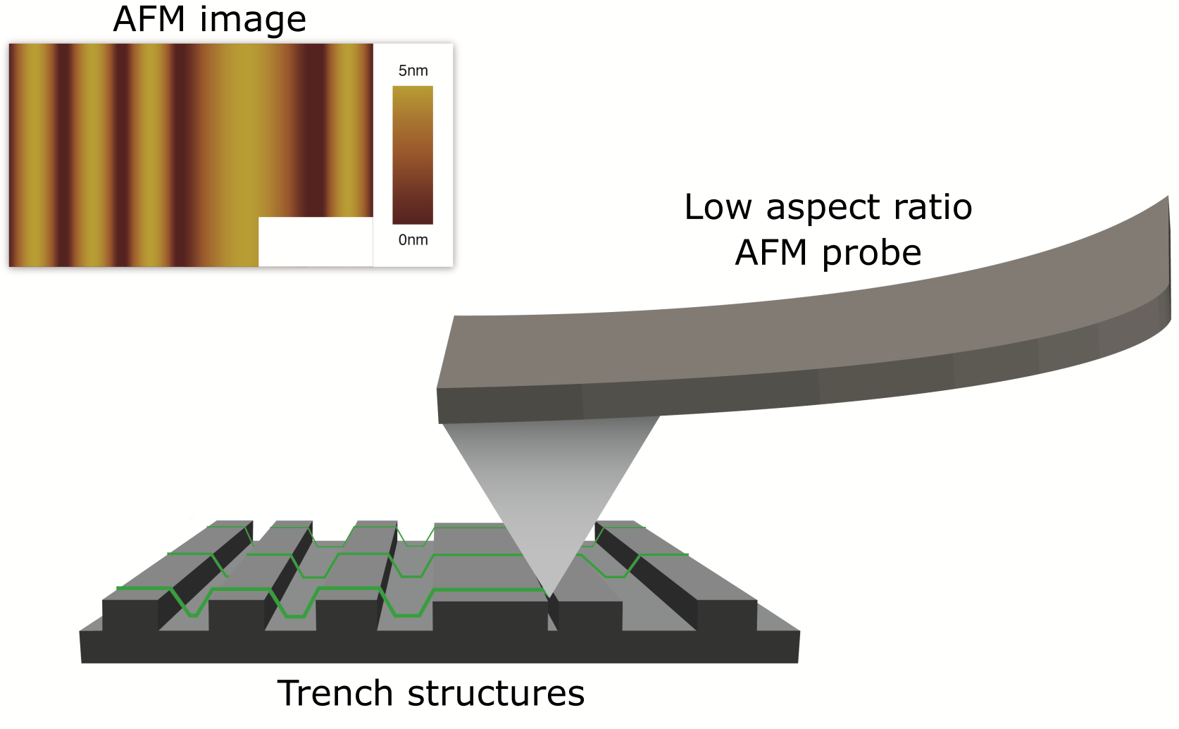 Low aspect ratio probe